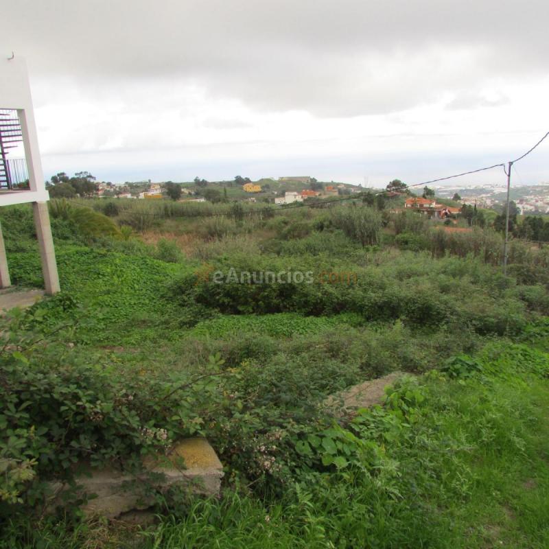 Parcela Rustica en venta en  Adelfas, Firgas