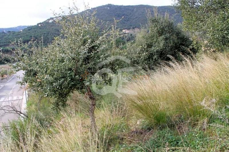 Parcela Rustica en venta en Calle Isabel Vila, Mas Pere-Río de Oro, Calonge