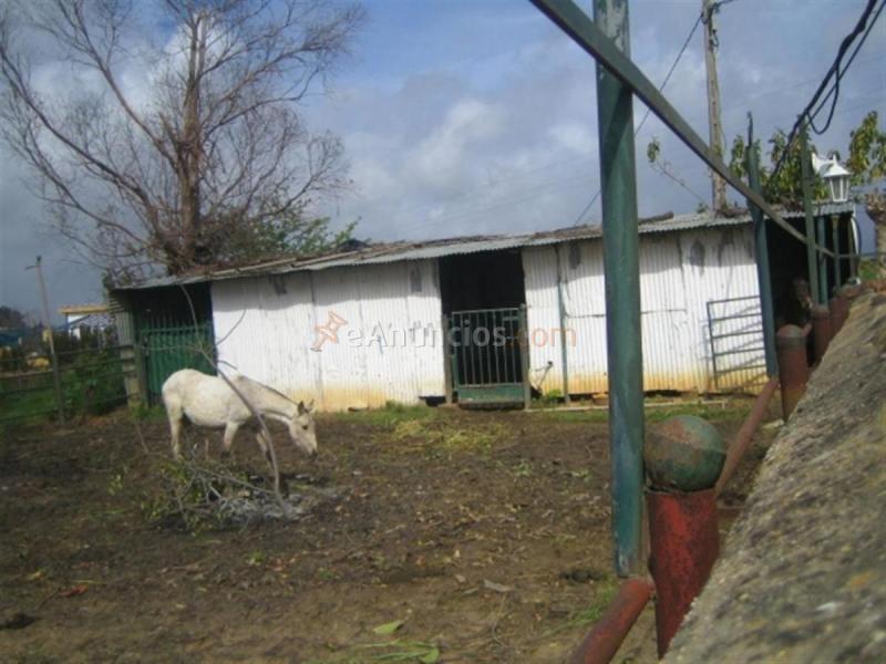 Casa Rural en venta en  Olivares