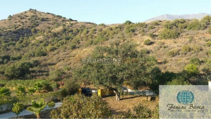 Adosado en venta en  Mijas Golf, Mijas