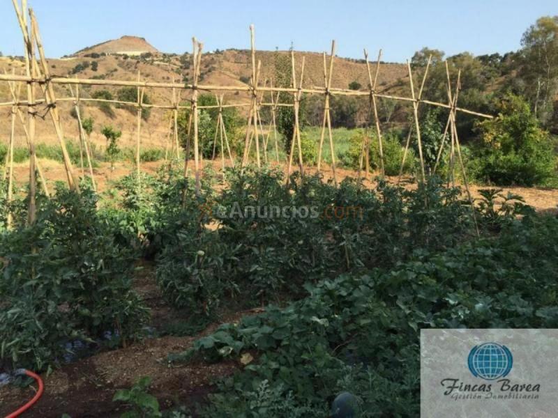 Parcela Rustica en venta en  Mijas Golf, Mijas