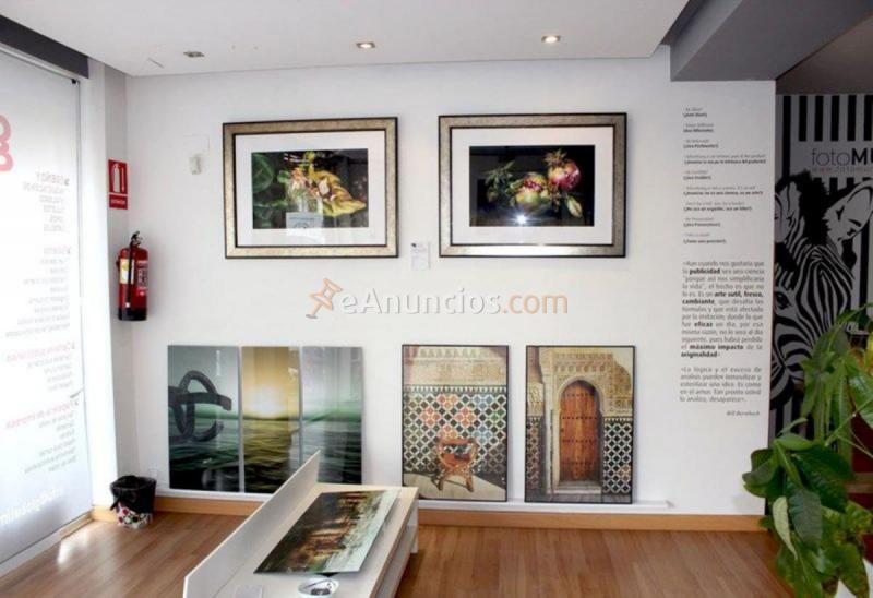 Local Comercial en venta en Calle primavera, Zaidín, Granada