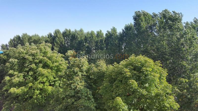 Apartamento en venta en Avenida castilla, Centro, Palencia