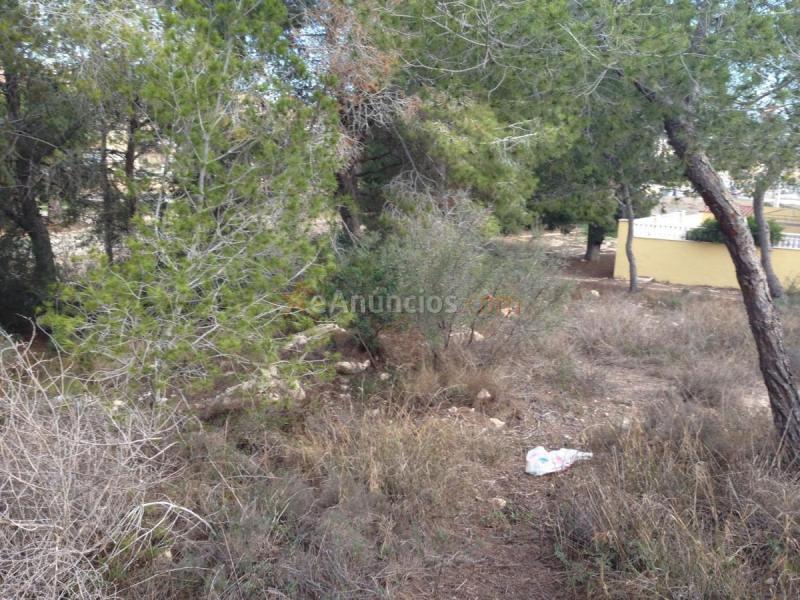 Parcela Rustica en venta en  Calle de los Pirineos, Orihuela Costa, Orihuela