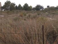 Parcela Rustica en venta en  Nueva Santa Barbara, Godella