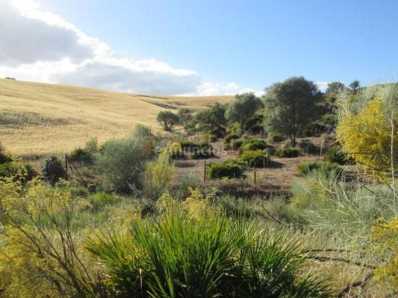 Parcela Rustica en venta en  PAGO LA FISCALIA, Alora