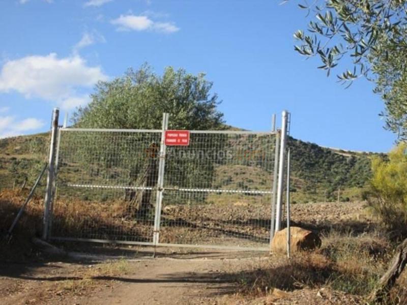 Parcela Rustica en venta en  PAGO LA FISCALIA, Alora