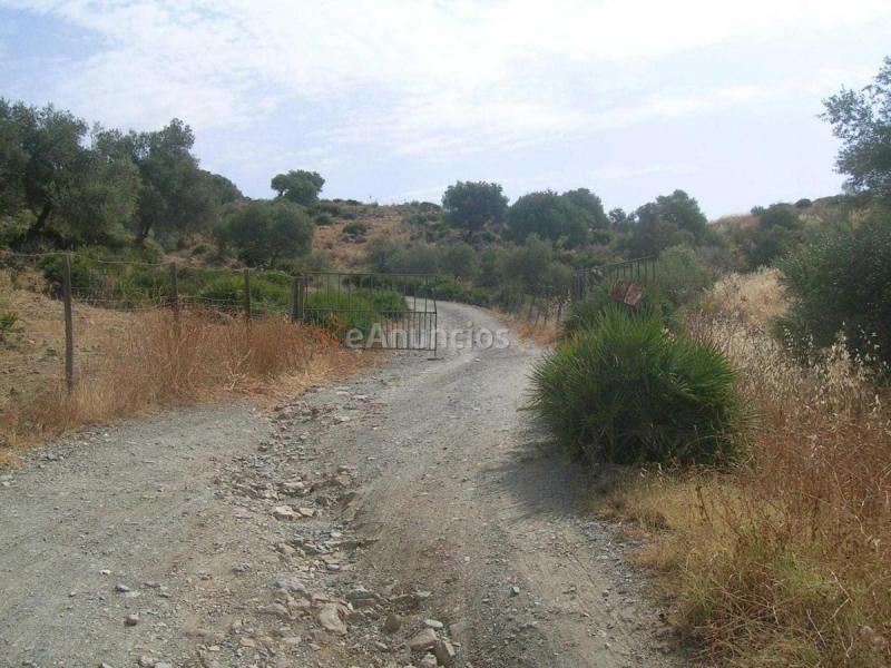 Parcela Rustica en venta en  PAGO LA FISCALIA, Alora