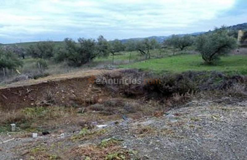 Parcela Rustica en venta en  EMILIO PRADOS, Casabermeja