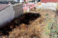 Parcela Rustica en venta en  CRISTO DE LA HUMILDAD, Norte - Barrio del Pilar - El Reñidero, Vélez-Malaga