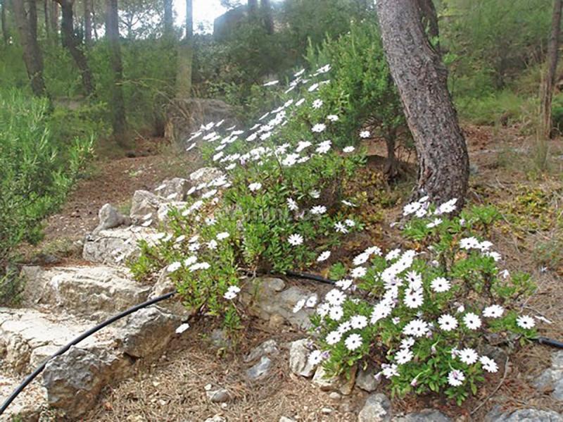 Adosado en venta en  Chulilla