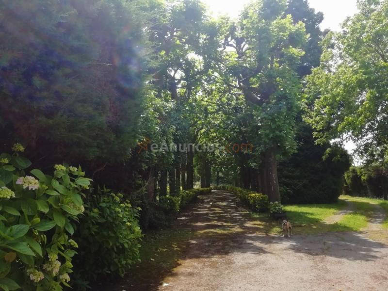 Adosado en venta en  Llanera