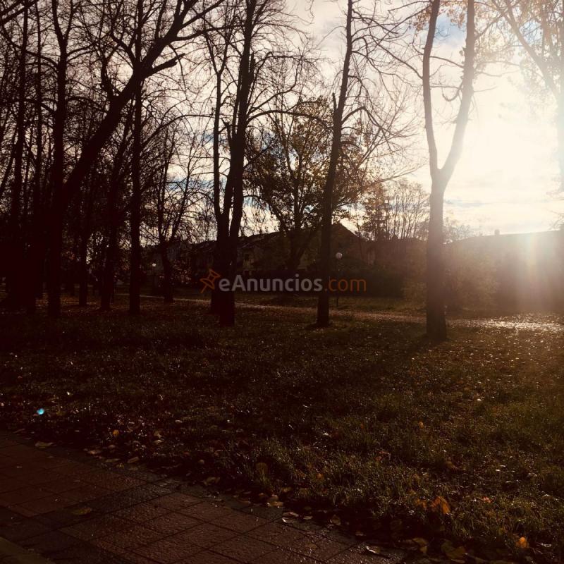 Parcela Rustica en venta en Paseo de la quinta, Zona sur - B Cortes, Burgos