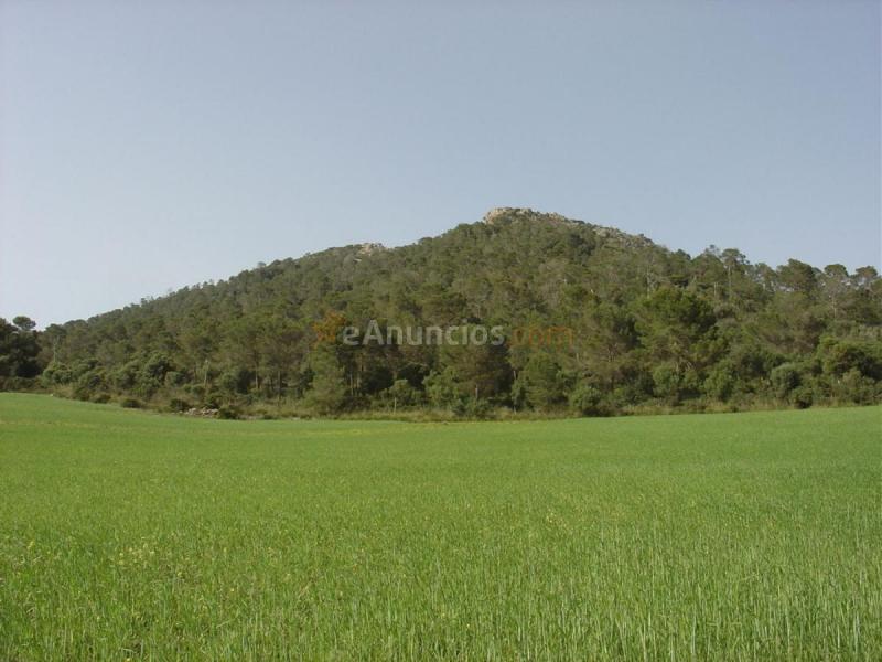 Adosado en venta en  Ciutat d'Alcúdia, Alcúdia