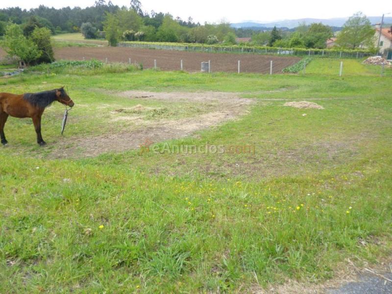 Parcela Rustica en venta en  Vedra