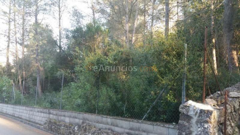 Parcela Rustica en venta en  Puigpunyent