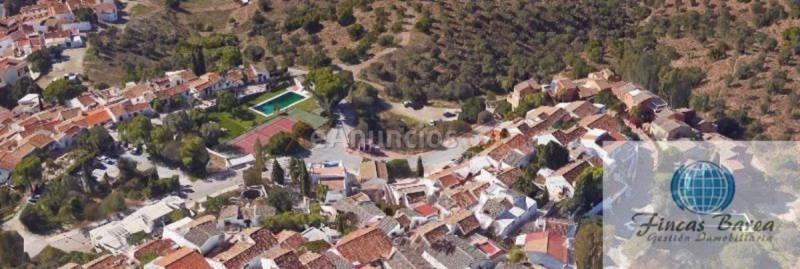 Parcela Rustica en venta en  Chilches