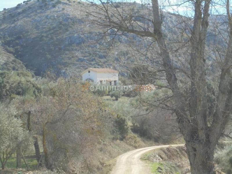 Casa Rural en venta en  Camino Algarrobo - Las Arenas, Vélez-Malaga