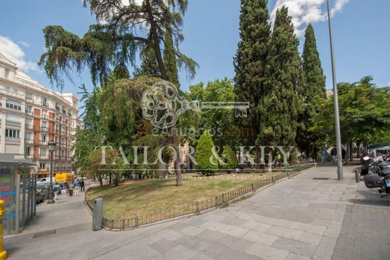 Local Comercial en alquiler en  Centro, Madrid