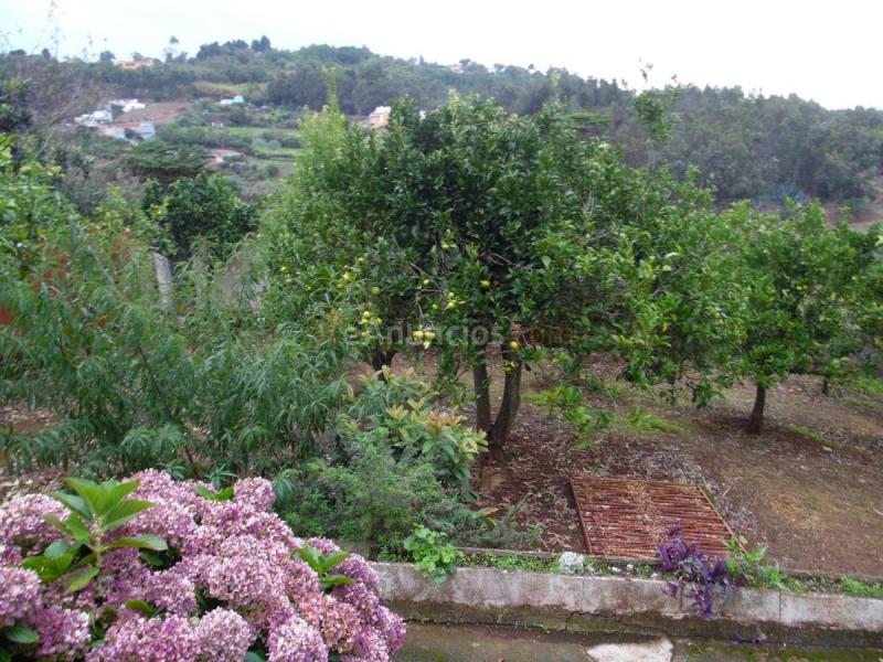 Adosado en venta en  Lomo Negro, Moya