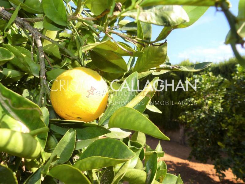 Adosado en venta en  Pla dels Aljubs, La Pobla de Vallbona