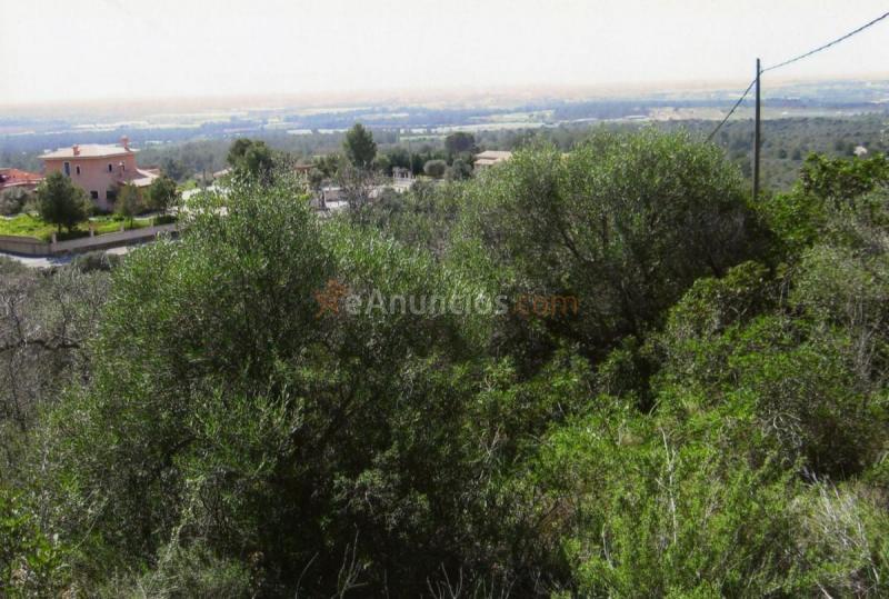 Parcela Rustica en venta en Calle puntiro-b, Son Ferriol - Sant Jordi, Palma de Mallorca