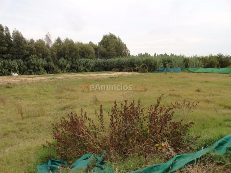 Casa Rural en venta en  37.351853, -6.991682, Gibraleon