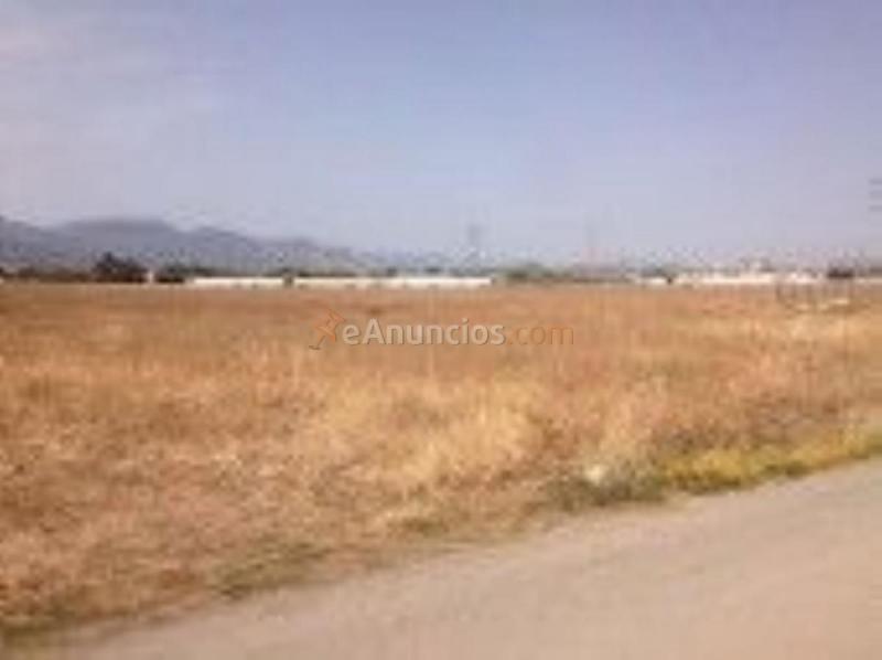 Parcela Rustica en venta en  ORTIZ RECIO, Centro, Antequera