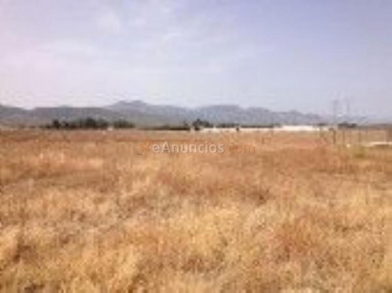 Parcela Rustica en venta en  ORTIZ RECIO, Centro, Antequera