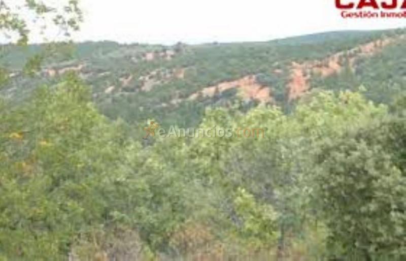 Parcela Rustica en venta en  Sotopinilla, Castillejo de Mesleon