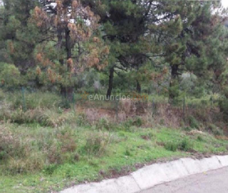 Parcela Rustica en venta en Alto montemayor, Montemayor-Marbella Club, Benahavís