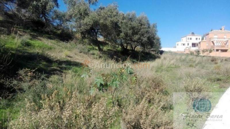 Parcela Rustica en venta en  Hipódromo-Cerrado del Águila, Mijas
