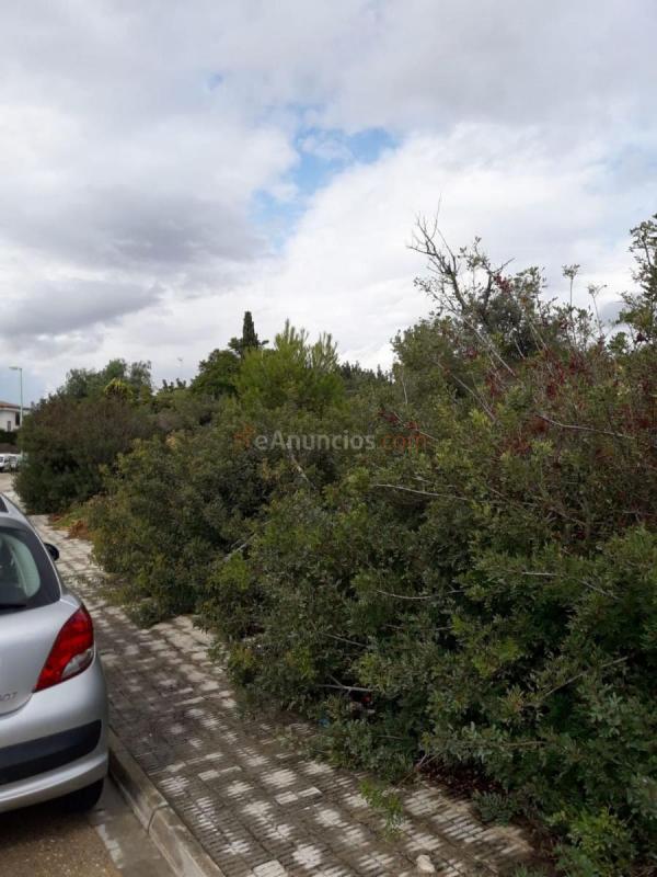 Parcela Rustica en venta en  Riba-Roja de Túria