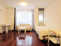 Loft en venta en  Buenavista-Ería-Montecerrao, Oviedo