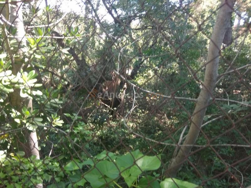 Parcela Rustica en venta en Calle Santa Bárbara, Rocafort