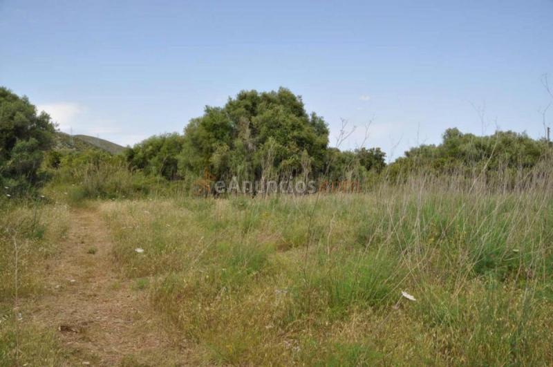 Casa Rural en venta en  Capdepera