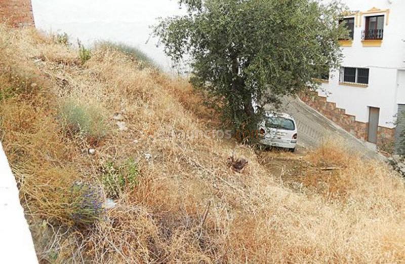 Parcela Rustica en venta en  OLIVO, Almáchar