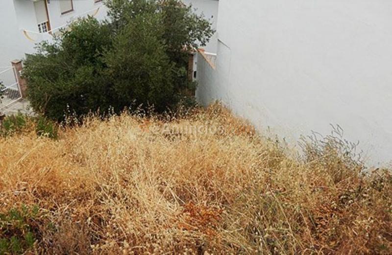 Parcela Rustica en venta en  OLIVO, Almáchar