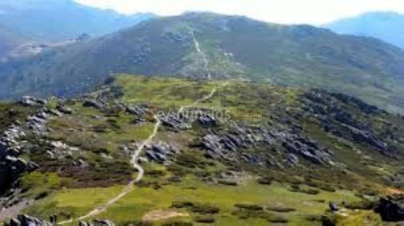 Parcela Rustica en venta en  Colonia las Margaritas, Riaza