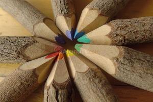 Tienes una idea para avanzar y no sabes como