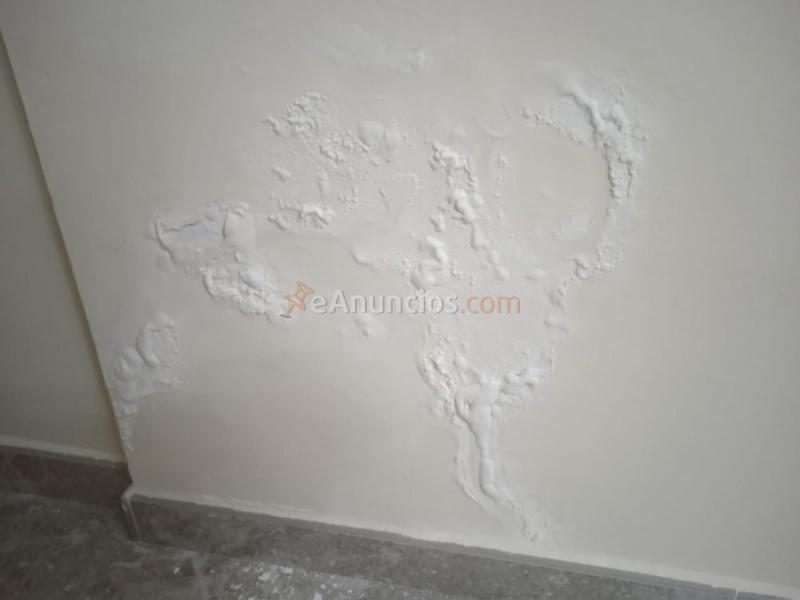 PINTURA  SAMIR 607 46 48 65