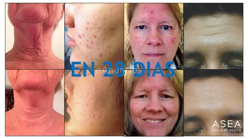 Negocio rentable por vida sin Inversion