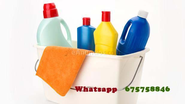 Limpieza y Servicios para el Hogar