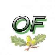 Oposicion aragon ingeniero tecnico forestal