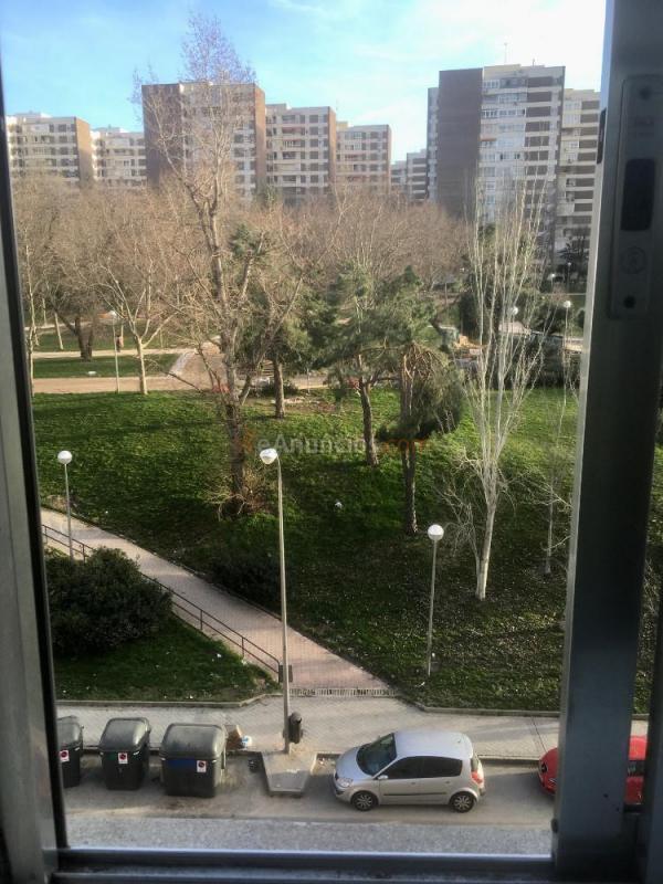 Habitación privada en Barrio del Pilar