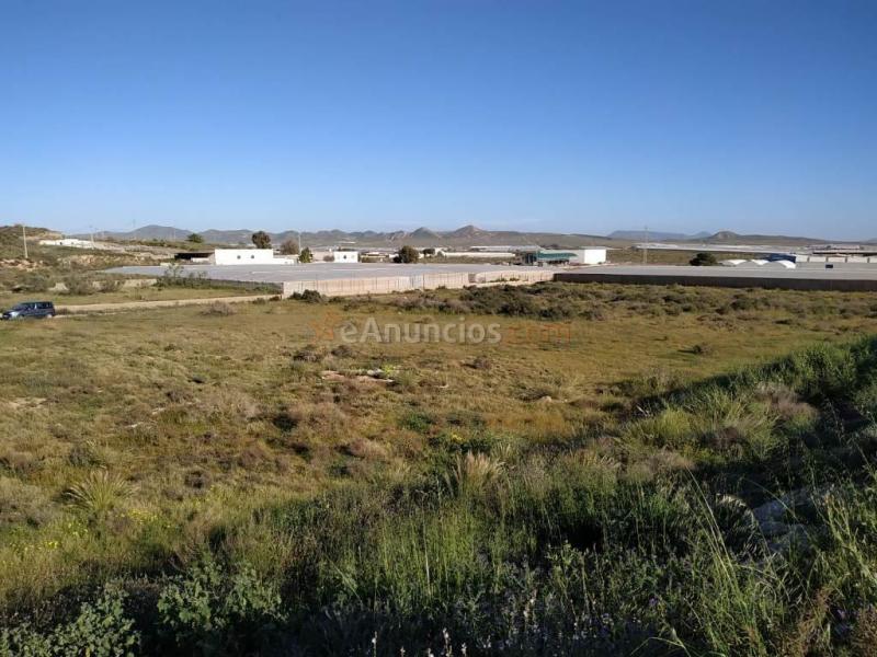 Suelo rústico en Venta en Viso, El Almería