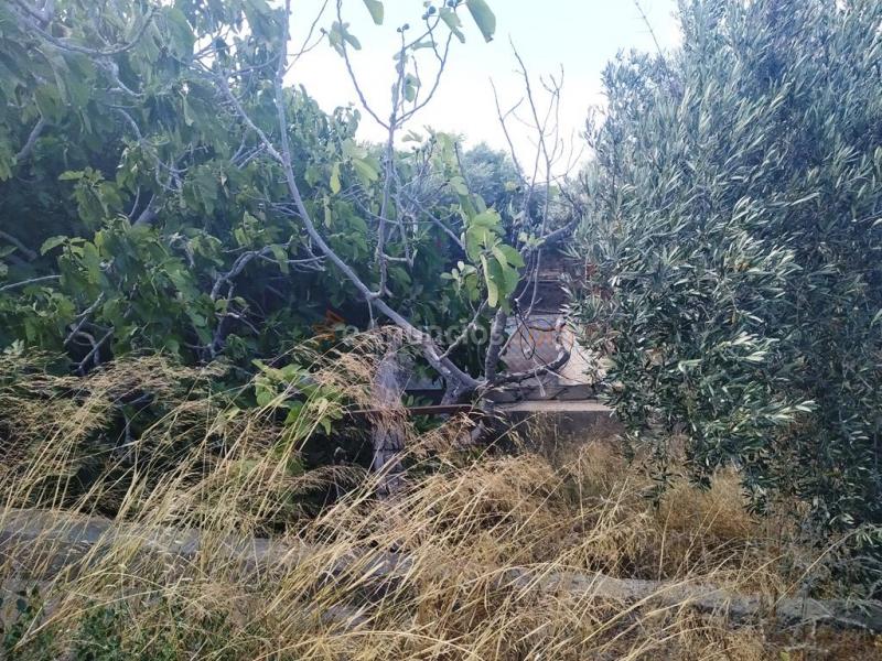 Suelo rústico en Venta en Huercal De Almeria Almería