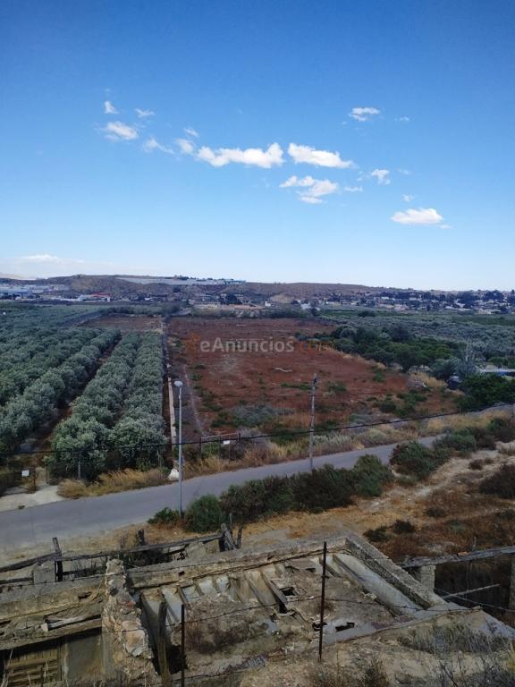Suelo rústico en Venta en Huercal De Almeria Almería
