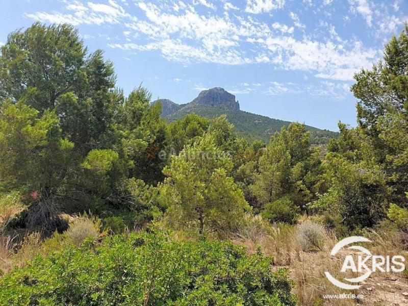 Parcela rústica, oportunidad en Benissa