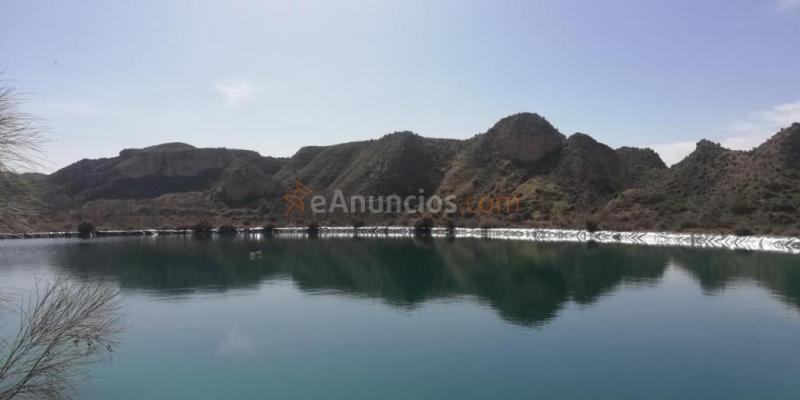 Terreno en venta en Fonelas de 4560000 m2